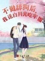 陈飞费阅读全文