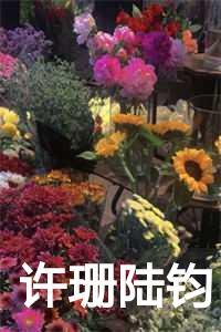许珊珊是谁
