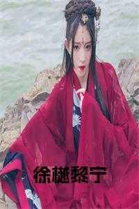 徐樾黎宁免费阅读