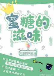 蜜糖的滋味txt微盘