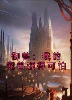 林奇小儿子