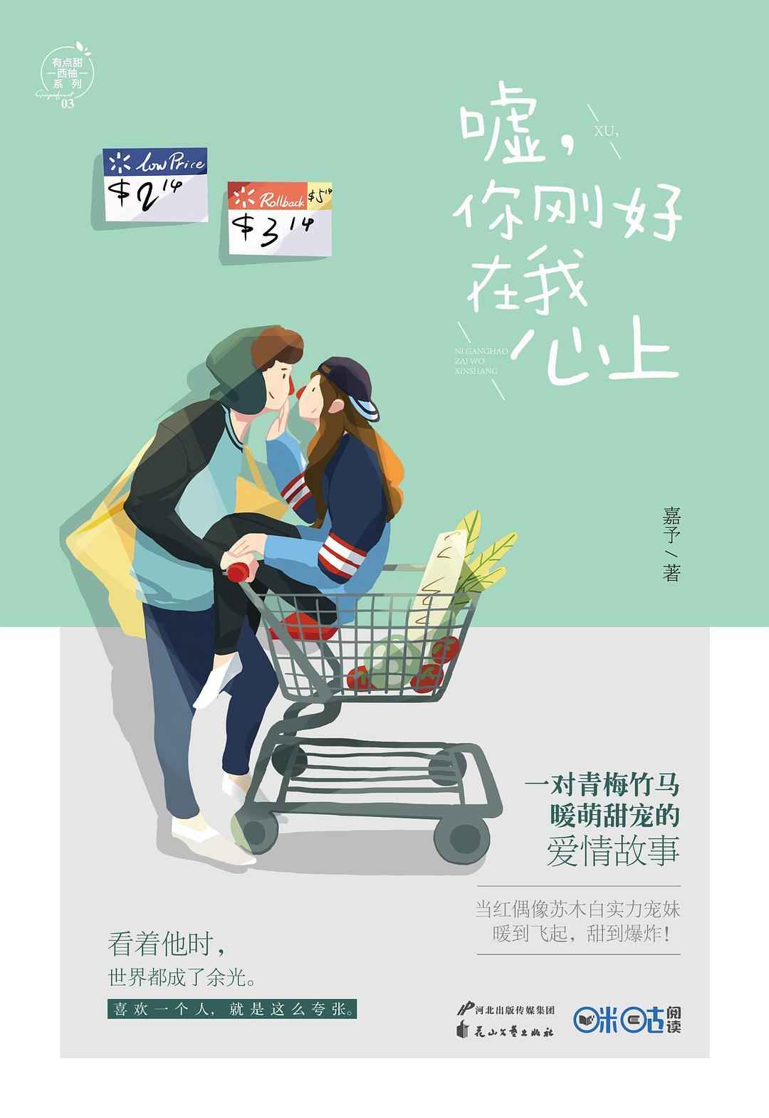 可否摘星辰全文阅读