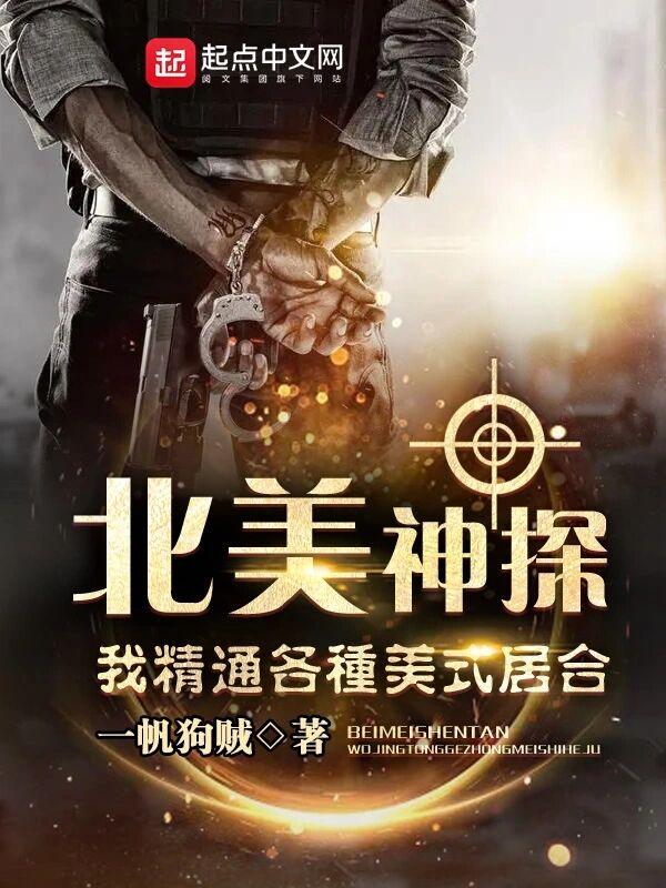 北美神探我精通各种起点