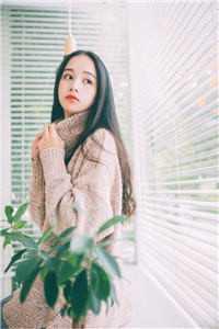 江撤林羽的妻子