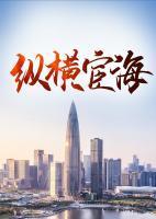 纵横股海