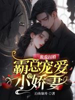 闪婚蜜爱霸道总裁晚上见免费阅读