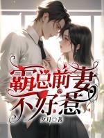 历总前妻不好惹