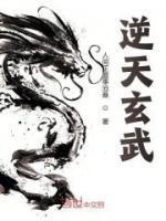 逆天玄武性格推荐