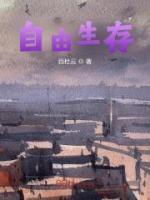 自由生存火力战场原版