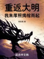 重生朱厚照年间的