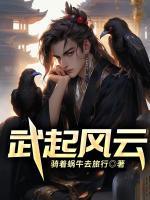 风云里的武无敌是谁