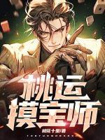 桃运宝典林枫