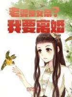 老婆是女帝洛无情