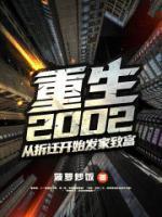 重生2002从拆迁开始发家致富TXT