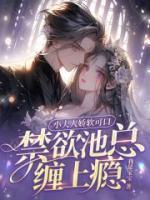 小夫人惊艳了全球