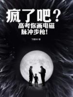 电磁脉冲枪怎么做