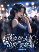 薄少追妻套路深免费阅读