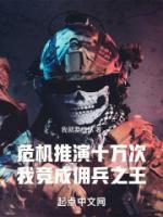 危机推演十万次我竟成佣兵之王