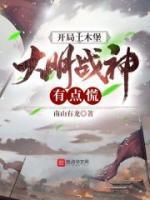 大明战神有点慌 第341章