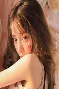 沉星档案演员表