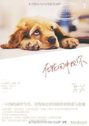 在轮回中找到你什么歌