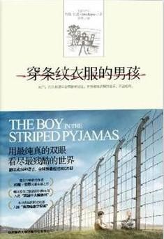 穿条纹衣服的男孩书评