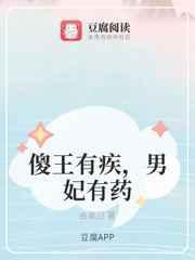 傻王的重生男妃