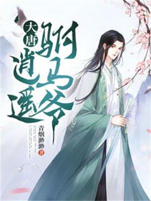 大唐逍遥驸马爷免费完整版