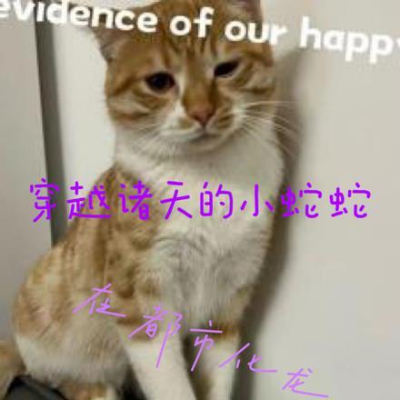诸天穿越从龙蛇开始笔趣阁