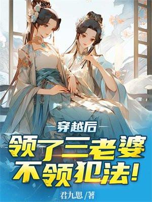 主角穿越娶好几个老婆的
