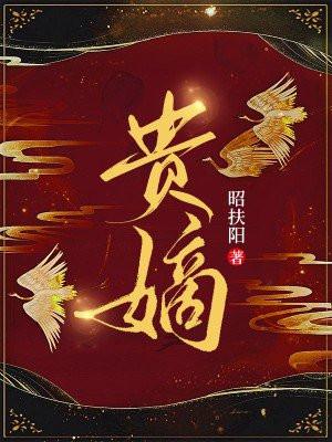 贵嫡分集剧情