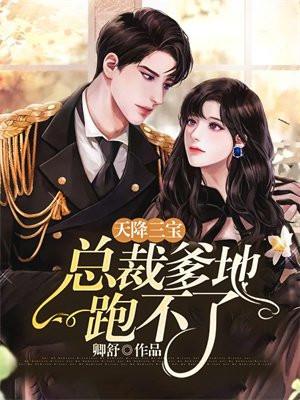 天降三宝总裁爹地坏又甜宠上天