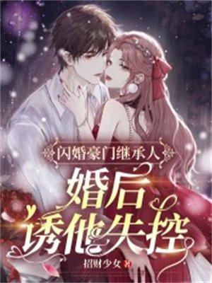 闪婚豪门继承人