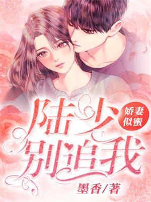 陆少别来无恙