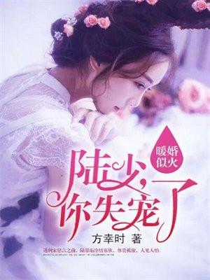 暖婚之陆少宠上瘾