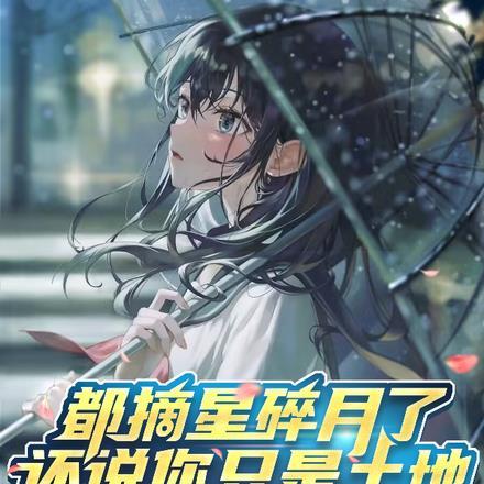 都摘星碎月了