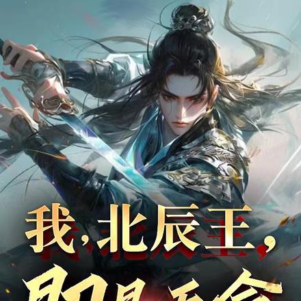 北辰王朝全文阅读