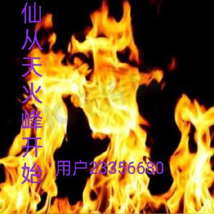 家族修仙我被族人带上天免费阅读