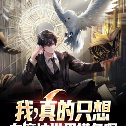 我真的只想当法师