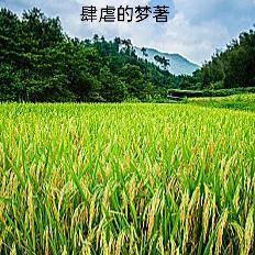 种灵田的