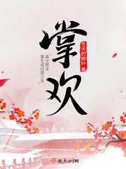 掌欢讲的什么