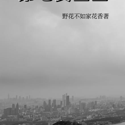 第七区是什么