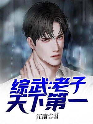 综武老子天下第一完整版
