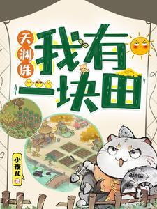 天渊珠我有一块田动画片