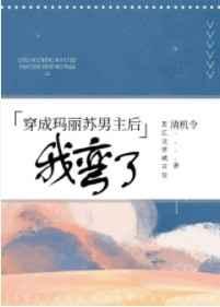 穿成玛丽苏文男主后我弯了txt盘搜搜