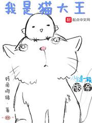 我是猫大王百度百科