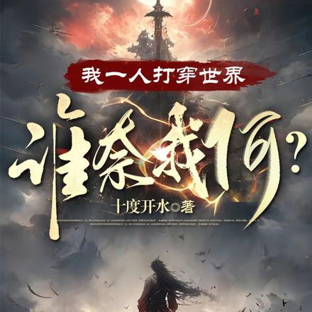 我一人打穿世界谁奈我何