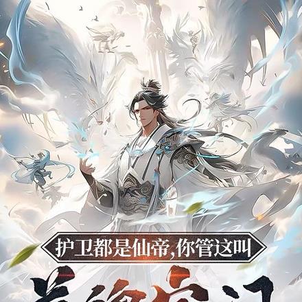 都市之护卫帝帅