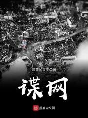谍网迷魂详细讲解
