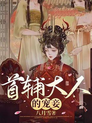首辅大人的宠妾讲什么
